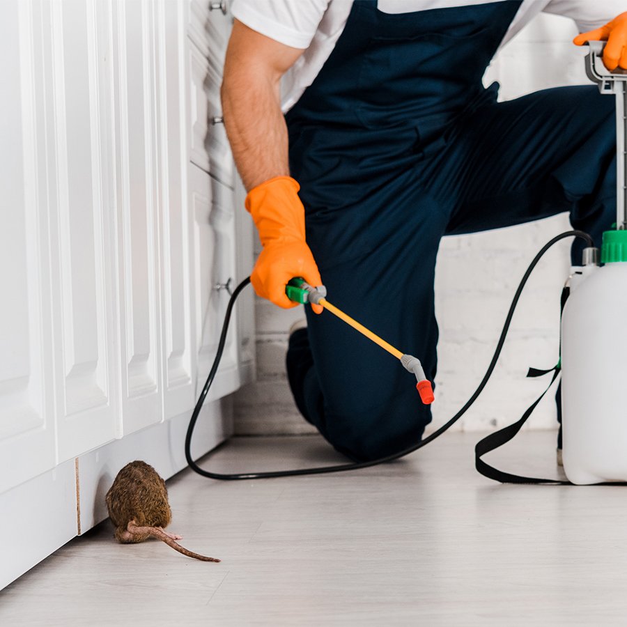 Man in cleaning uniform holding spray bottle and cloth